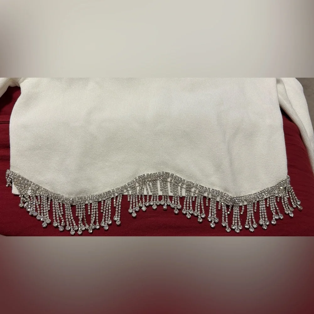 Lizette Collection Rhinestone Fringe Hem Crop Stretchy Top XL Club Nightwear - Picture 3 of 5